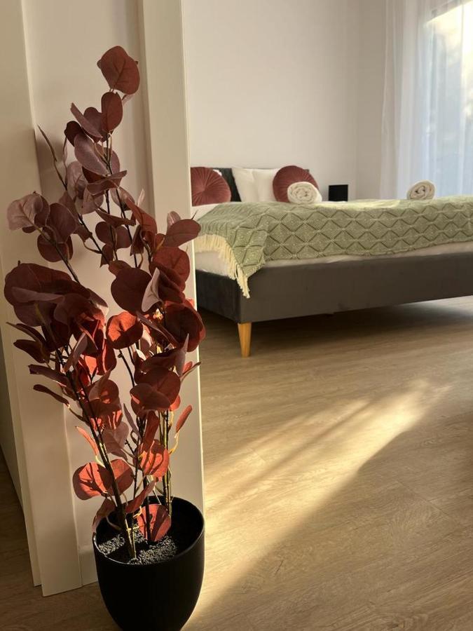 Mathias Premium Apartments Segedyn Zewnętrze zdjęcie